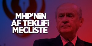 MHP'nin Af Teklifi Mecliste