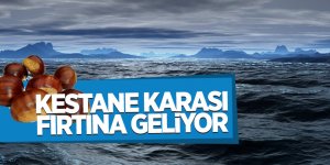 Soğuk ve yağışlı hava Karadeniz'de etkili olacak