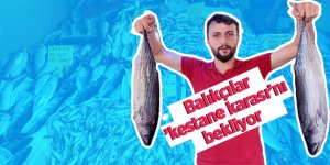 Balıkçılar ’Kestane Karası’nı bekliyor