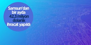 Samsun'dan bir ayda 42,3 milyon dolarlık ihracat yapıldı 