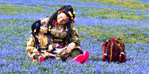 Mor Yayla görenleri hayran bırakıyor