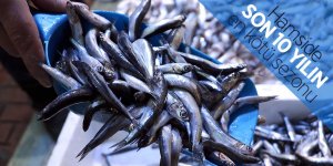 Hamside son 10 yılın en kötü sezonu