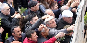 Samsun'un yeşil sevgisi! Fidanlar 20 dakikada tükendi
