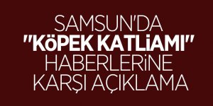 Samsun'da "köpek katliamı" haberlerine karşı açıklama