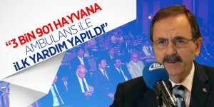 Başkan Şahin: “3 bin 901 hayvana ambulans ile ilk yardım yapıldı” 