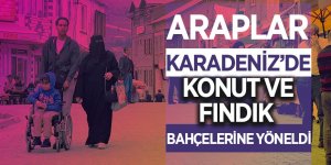 Araplar, Karadeniz’de konut ve fındık bahçelerine yöneldi