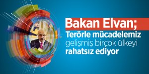 Bakan Elvan: “Terörle mücadelemiz, gelişmiş birçok ülkeyi rahatsız ediyor” 