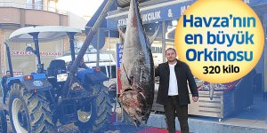 Satın aldığı 320 kiloluk orkinosu sergiledi