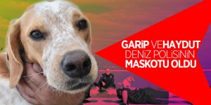 "Garip" ve "Haydut" deniz polisinin maskotu oldu