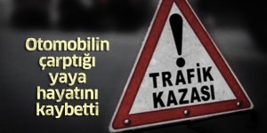 Otomobilin çarptığı yaya hayatını kaybetti