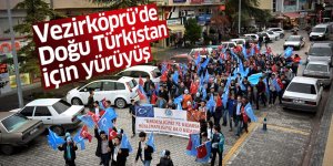 Vezirköprü'de Doğu Türkistan için yürüyüş düzenlendi