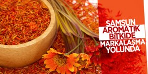 Samsun aromatik bitki merkezi