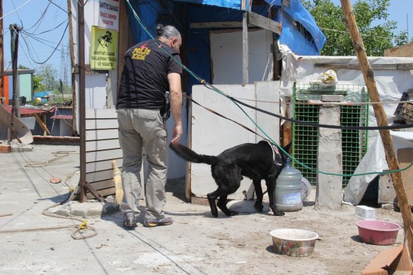 samsunda-uyusturucu-operasyonu-7-gozalti-samsun-haber4.jpg