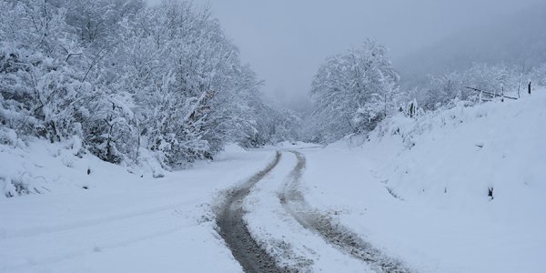 tekkekoy-kirsali-beyaza-burundu2.jpg